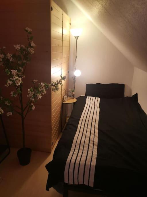 Wohnung Am Kurpark Mit Privater Innensauna & Led! Schluesselbox บอพพาร์ด ภายนอก รูปภาพ